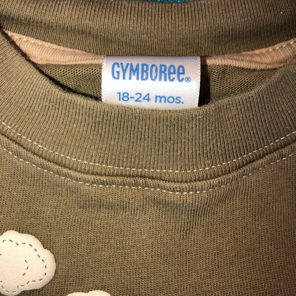 Gymboree Flying Raccoon Tee - Picture 4 of 4